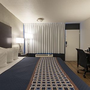 King Room Disability Access